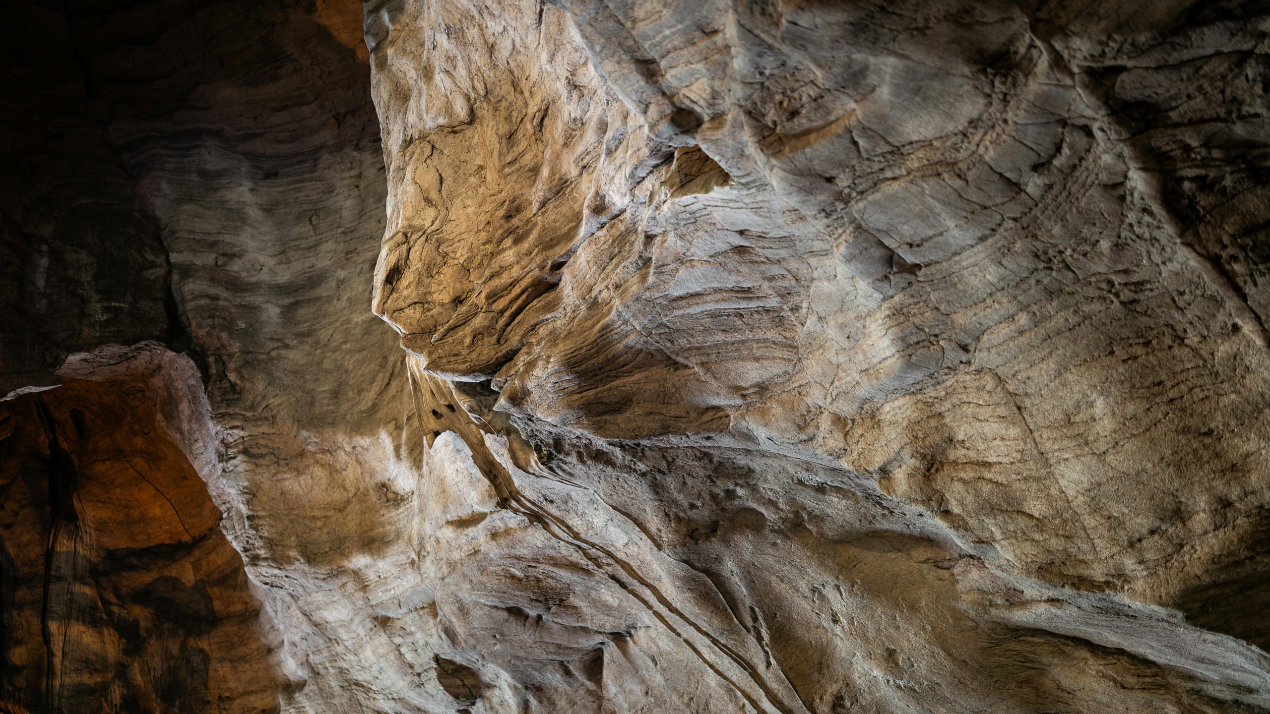 Day 2: Limestone Hills & Private Nature Moments